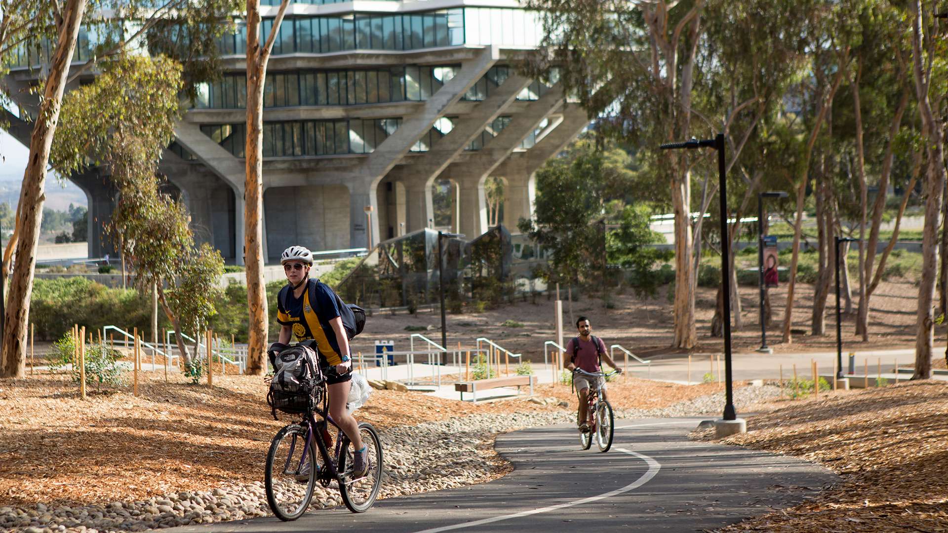 UCSD University Center Bike & Pedestrian Improvements Primary 1