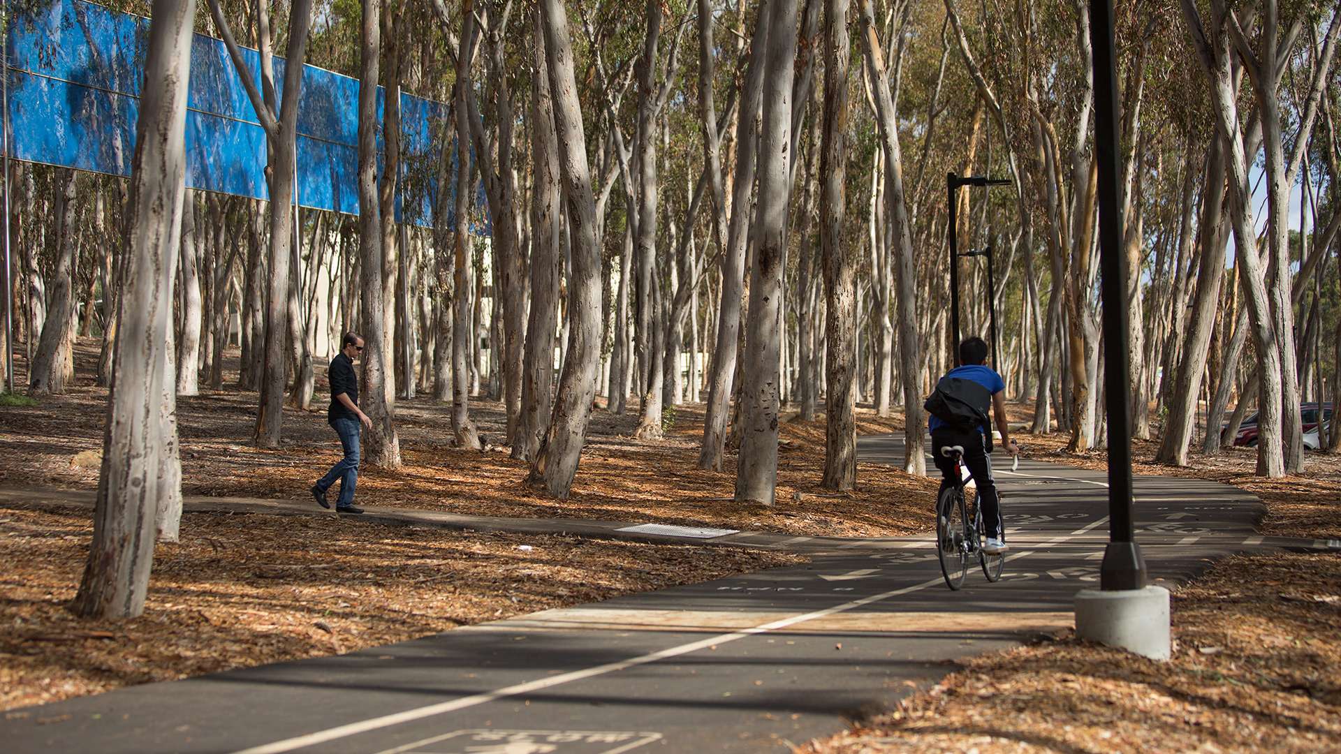 UCSD University Center Bike & Pedestrian Improvements Primary 6