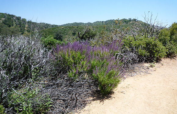 San Dieguito River Valley Secondary 1