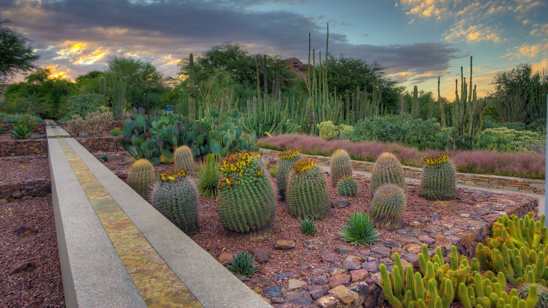 Desert Botanical Garden Ottosen Entry Spurlock