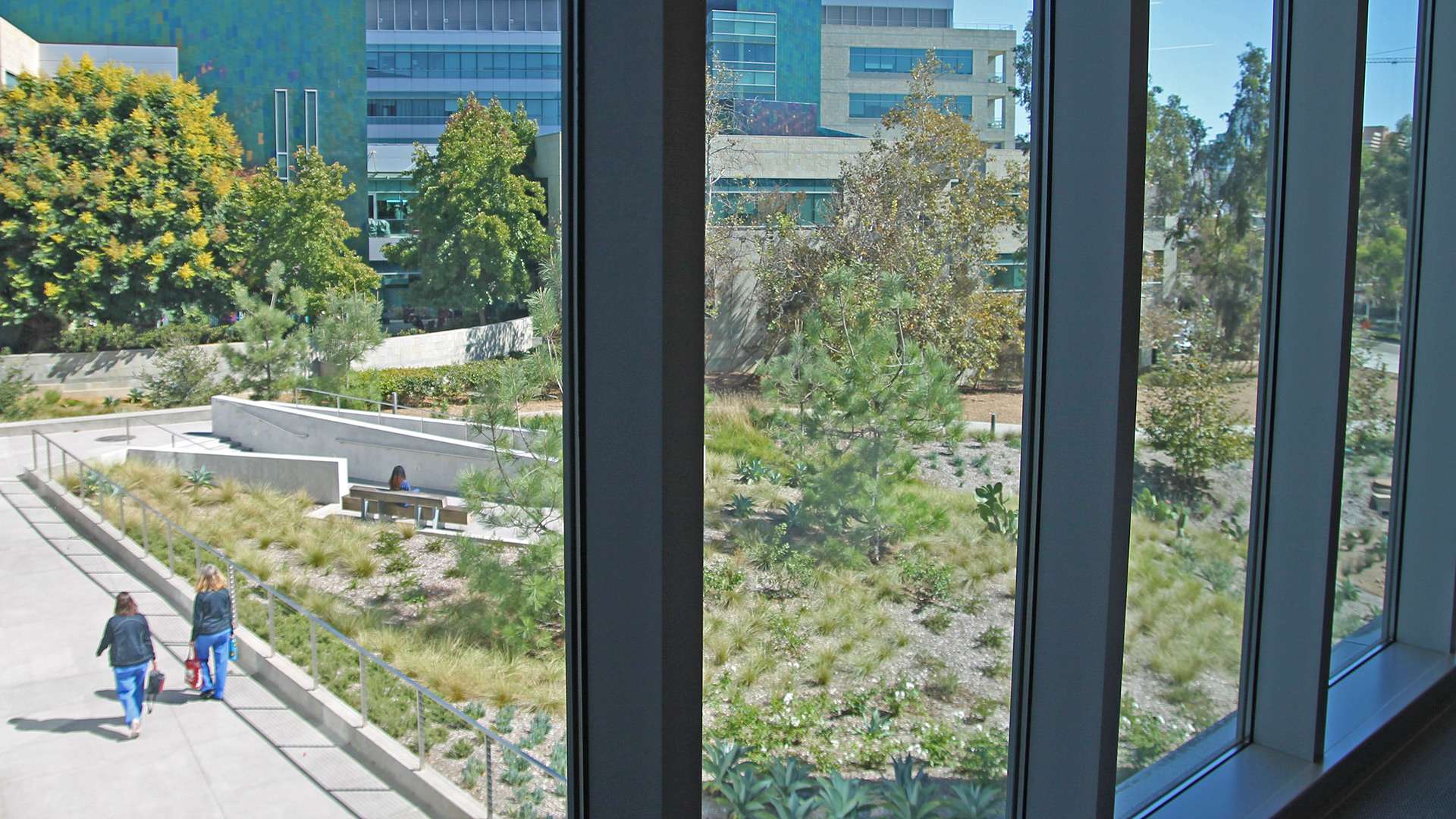 UCSD Health Koman Family Outpatient Pavilion Primary 3