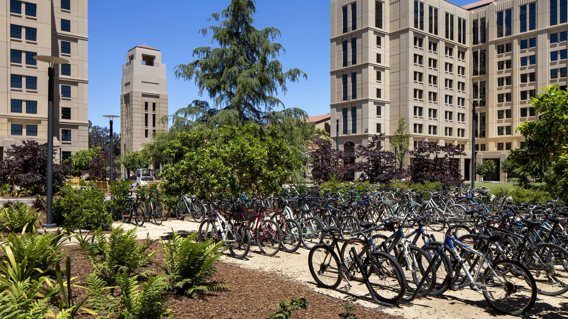 Stanford East Village Graduate Student Housing Primary 5